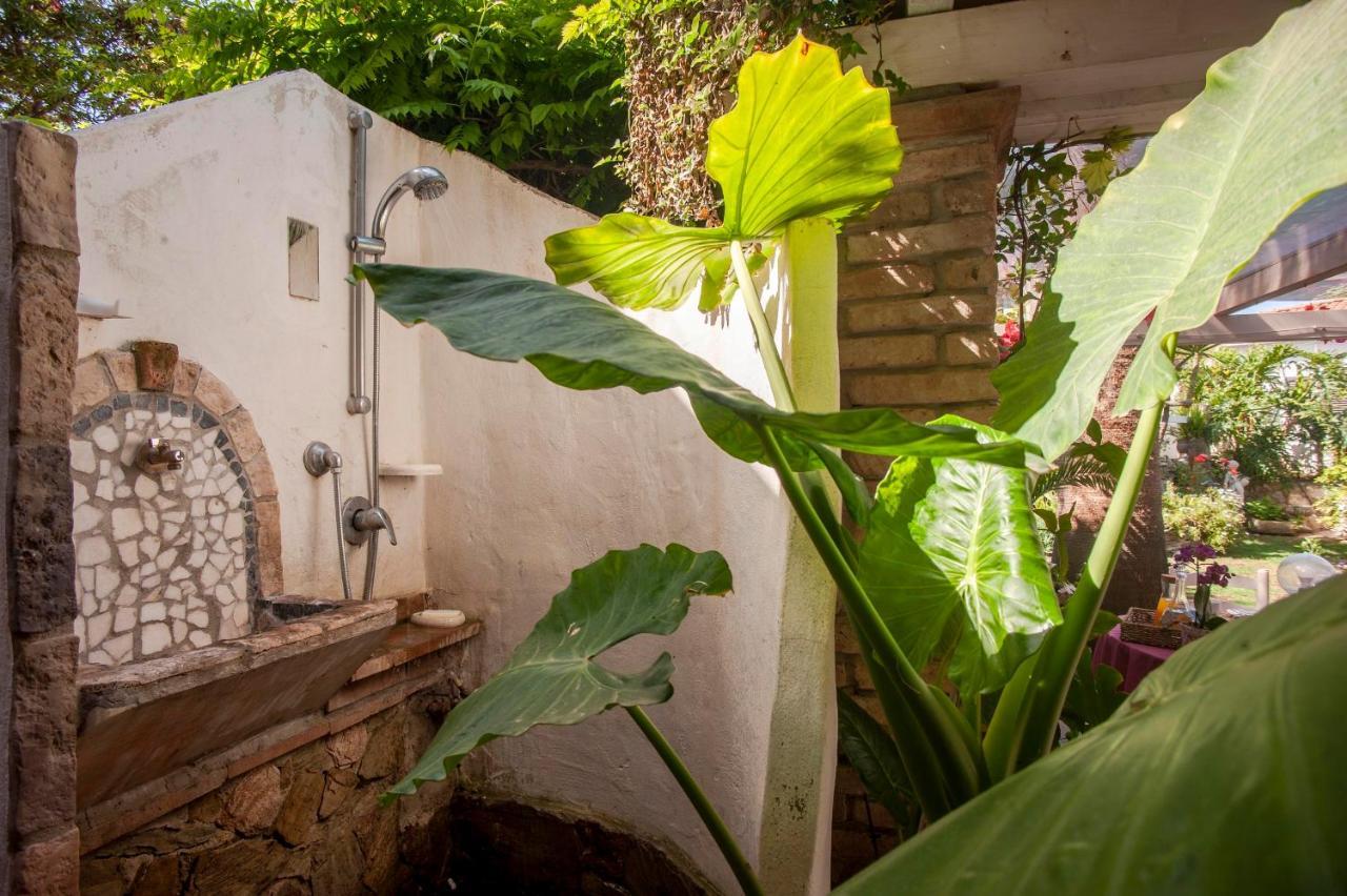 فيلا Casa Petunia سارّوتش المظهر الخارجي الصورة